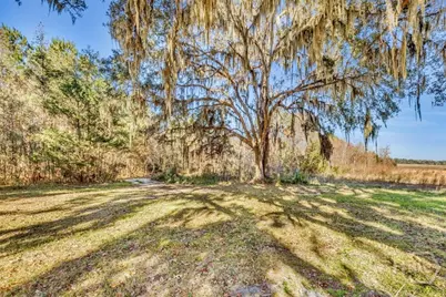 580 Old Gress Island Road, Midway, GA 31320 - Photo 5