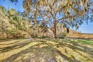 580 Old Gress Island Rd, Midway, GA 31320 - Photo 5