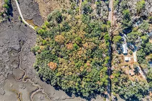 580 Old Gress Island Rd, Midway, GA 31320 - Photo 27