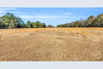 580 Old Gress Island Road, Midway, GA 31320 - Photo 17