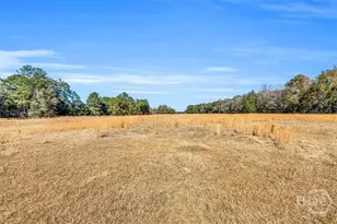 580 Old Gress Island Rd, Midway, GA 31320 - Photo 17