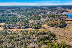 580 Old Gress Island Rd, Midway, GA 31320 - Photo 21