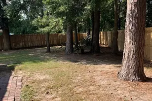 166 W Tahoe Dr, Savannah, GA 31405 - Photo 29