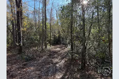 3833 Old Louisville Road, Guyton, GA 31312 - Photo 5