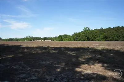 1800 Olive Branch Road, Ellabell, GA  - Photo 9