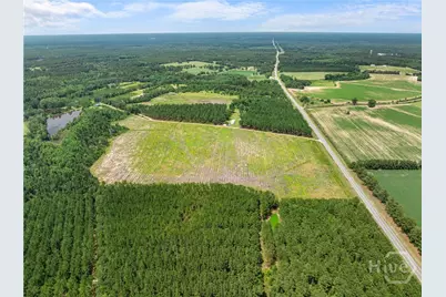 0 Hwy 301 N, Statesboro, GA 30458 - Photo 11