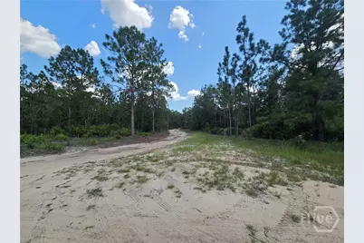 2 Acres Jones Road, Glennville, GA 30427 - Photo 3