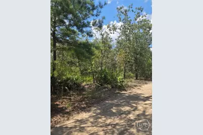 2 Acres Jones Road, Glennville, GA 30427 - Photo 5