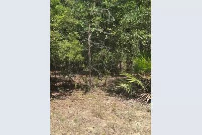 2 Acres Jones Road, Glennville, GA 30427 - Photo 1