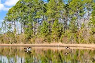 239 Daniel Trent Way, Kingsland, GA 31548 - Photo 47
