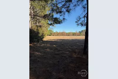 3C McCall Road, Springfield, GA 31329 - Photo 1