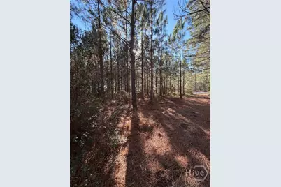 3C McCall Road, Springfield, GA 31329 - Photo 3