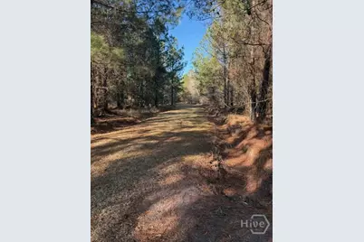 0 N. 119, Pembroke, GA 31321 - Photo 17