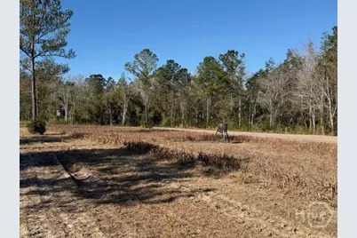 0 N. 119, Pembroke, GA 31321 - Photo 19