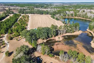 348 Lennies Pond Rd, Ellabell, GA 31308 - Photo 19
