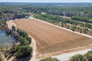 348 Lennies Pond Rd, Ellabell, GA 31308 - Photo 25