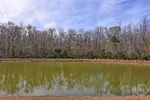 123 Harvest Hl, Pooler, GA 31322 - Photo 55