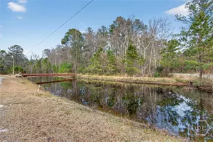 305 Magnolia Dr N, Eden, GA - Photo 21