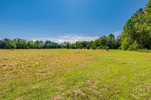 215 Lorenzo Hurst Rd, Springfield, GA 31329 - Photo 43