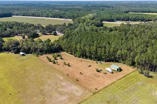 215 Lorenzo Hurst Rd, Springfield, GA 31329 - Photo 49