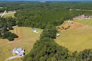 215 Lorenzo Hurst Rd, Springfield, GA 31329 - Photo 47