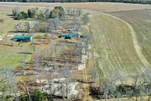 1775 Stoopto Rd, Sylvania, GA 30467 - Photo 65