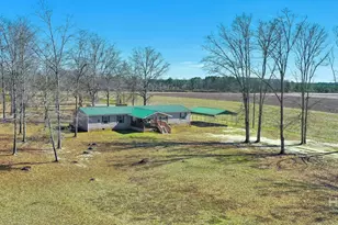 1775 Stoopto Rd, Sylvania, GA 30467 - Photo 57