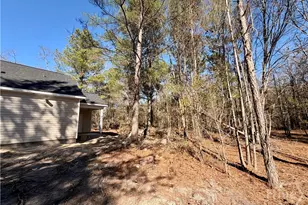 850 O F Lanier Rd, Pembroke, GA 31321 - Photo 29