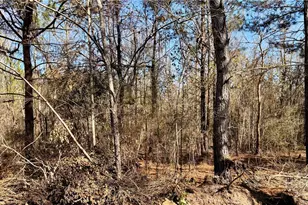 850 O F Lanier Rd, Pembroke, GA 31321 - Photo 27