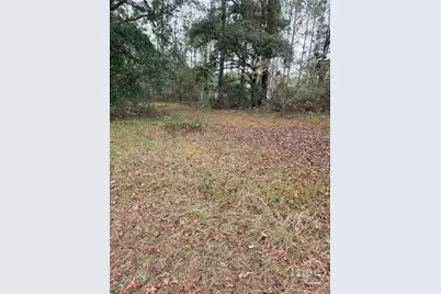 861 Brinson Road, Brooklet, GA 30415 - Photo 1