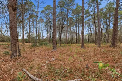 208 Timberline Road, Statesboro, GA 30461 - Photo 47