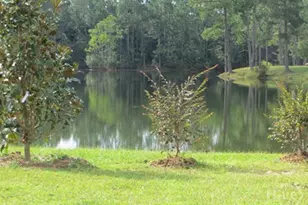 103 Pinebury Rd, Pooler, GA 31322 - Photo 5
