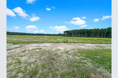 202 Pitchline Drive, Hinesville, GA 31313 - Photo 19