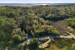501 Wau Bun Dr, Savannah, GA 31419 - Photo 57