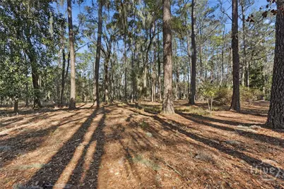 501 Wau Bun Drive, Savannah, GA 31419 - Photo 39
