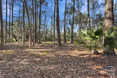 501 Wau Bun Drive, Savannah, GA 31419 - Photo 17