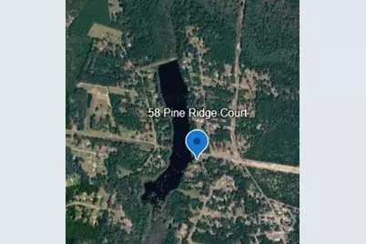 58 Pine Ridge Court, Ellabell, GA 31308 - Photo 31
