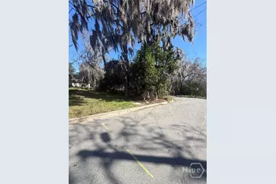 0 E 70th Street, Savannah, GA 31404 - Photo 3