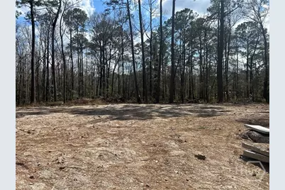 0 Little McCall Road, Rincon, GA 31326 - Photo 1