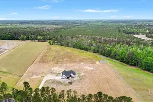 10143 US Highway 80 E, Brooklet, GA 30415 - Photo 41