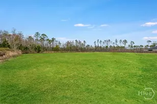 392 Akins Rnch Rd NE, Ludowici, GA 31316 - Photo 47