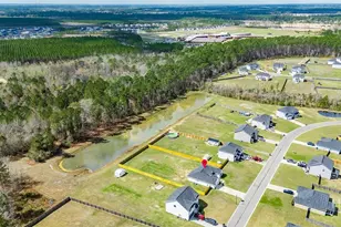 129 Morgan Fld Blvd NE, Ludowici, GA 31316 - Photo 25