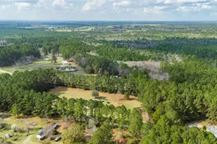 670 Pleasant Hill Church Rd, Ellabell, GA 31308 - Photo 43