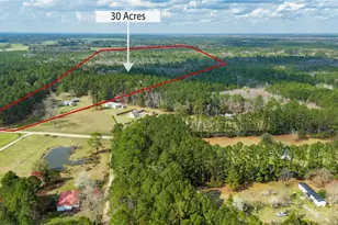 670 Pleasant Hill Church Rd, Ellabell, GA 31308 - Photo 35