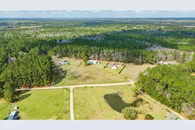614 Pleasant Hill Church Road, Ellabell, GA 31308 - Photo 49
