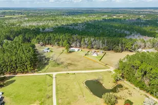 614 Pleasant Hill Church Rd, Ellabell, GA 31308 - Photo 49
