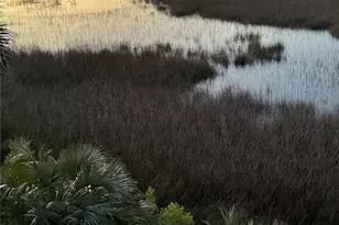 18 Egrets Nest Dr, Savannah, GA 31406 - Photo 19