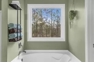 470 Summerhill Dr NE, Ludowici, GA 31316 - Photo 41