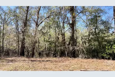 265 Big Cypress Drive, Bloomingdale, GA 31302 - Photo 5