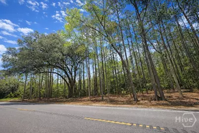 19805 Ga Highway 144, Richmond Hill, GA 31324 - Photo 1